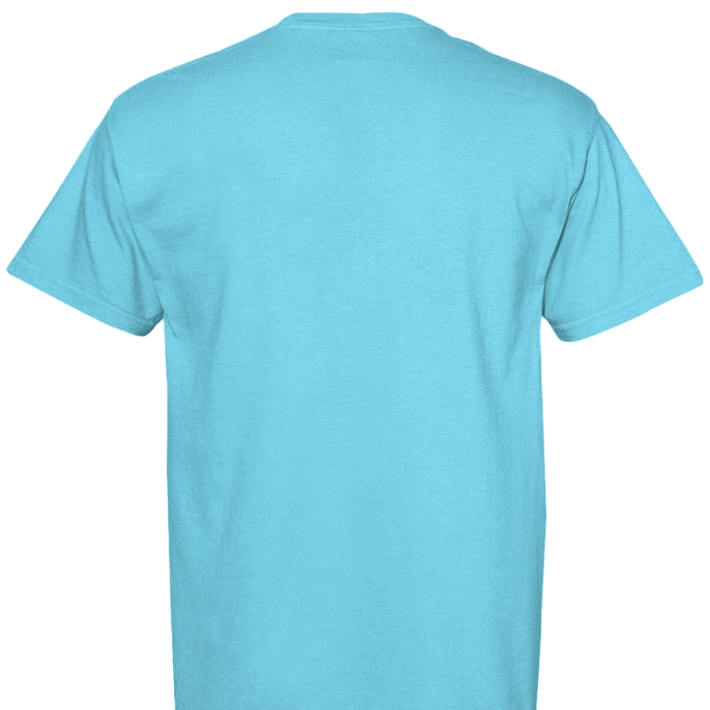 LAGOON BLUE - C1717 - BACK